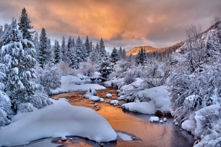 Winter Stream - snow, stream, winter, nature