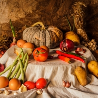 Still Life Food