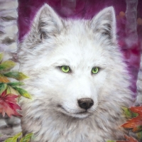 The White Wolf