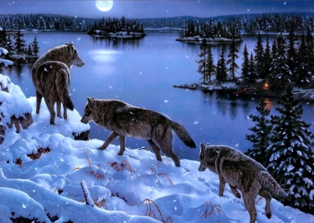 A pack of wolves walking on a snowy road in the forest - ejszaka, erdo, farkas, folyo, havas utak, ho, vadvilag