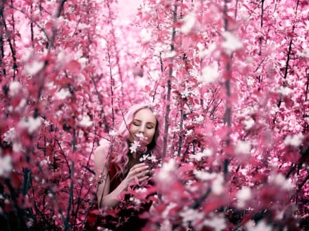 Pink spring flowers