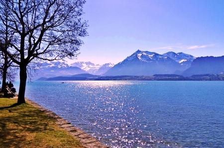 Lake Thun Switzerland - alpok, fak, hegy, hegyek, napos, svajc, tajkep, termeszet, thun lake