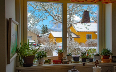 Winter through Window - winter, window, Sweden, houses, succulents