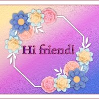 HI FRIEND