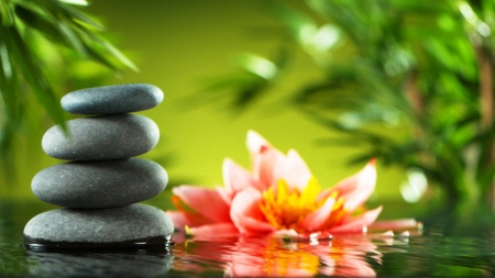 Spa - Water, Leaves, Flower, Stones