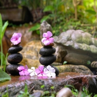 Zen stones with flowers
