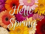 Hello Spring