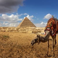 Pyramids of Giza, Egypt