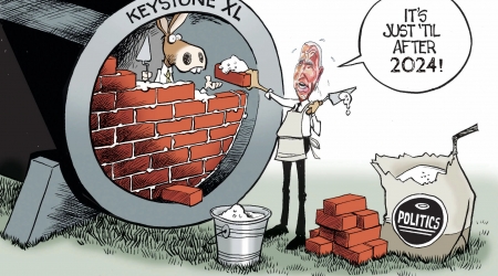 Conspiracy - biden, downfall, democrats, traitor