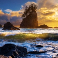 Seaside of Olympic NP, Washington