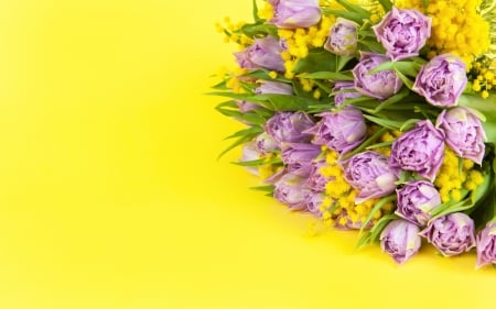 :) - yellow, spring, tulip, flower, lalele, purple, valentine, mother, card, day