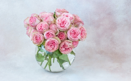Roses - flower, vase, glass, card, white, bouquet, rose, valentine, day, pink, mother