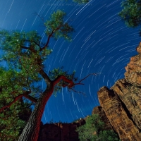 Zion National Park at night showing star movements