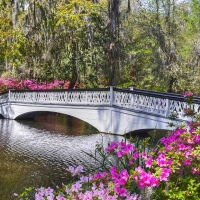 The Bridge At Magnolia Plantation in Charleston, South Carolina