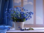 Blue flowers