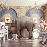 Elephant in the Restaurant