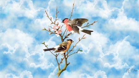 Spring Birds - flowers, sakura, cherry blossoms, spring, sky, tree