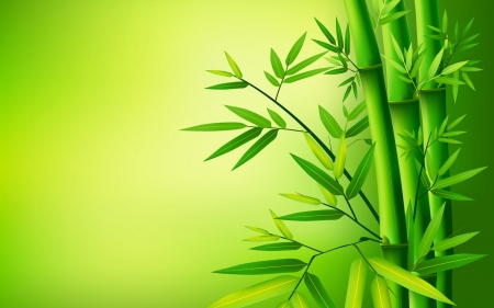 Bamboo - Green, Bamboo, Leaves