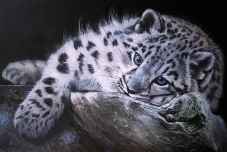 Snow leopard - pip mcgarry, cub, snowleopard, pictura, panthera uncia, painting, cute, pisici, art