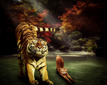 :) - big cat, fantasy, yoga, pisici, tigru, cat, funny