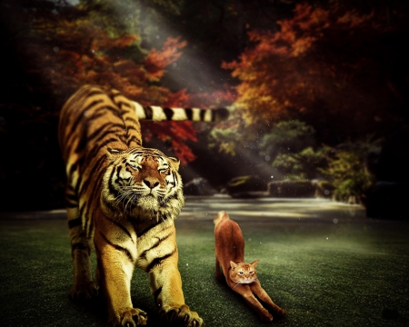 :) - fantasy, funny, pisici, tigru, yoga, cat, big cat