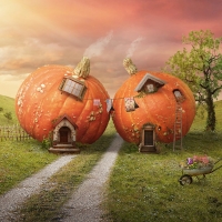 Pumpkin houses