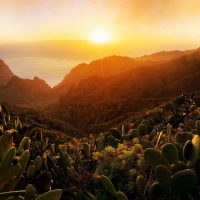 Tenerife, Canary Islands