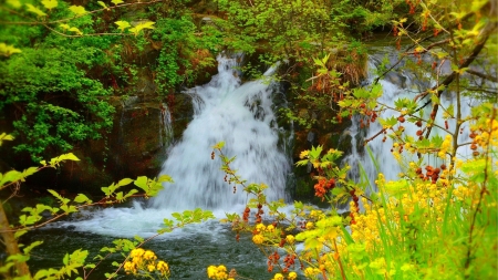 Waterfall pouring on river - river, plants, green, greenery, trees, waterfall, beautiful, forest
