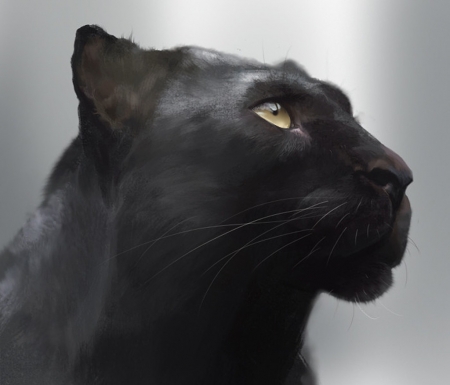 Black panther - big cat, panther, black, pisici, jiayan li, fantasy, art