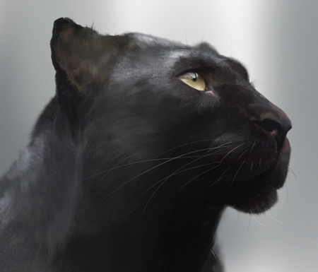 Black panther - black, fantasy, jiayan li, pisici, art, panther, big cat