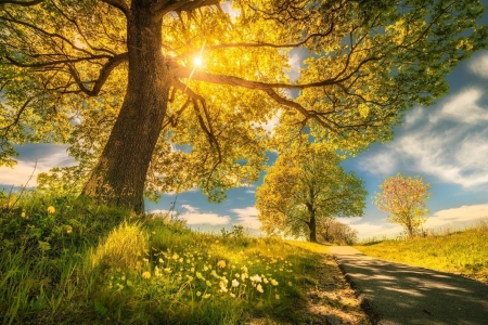 Spring - wallpaper, windows, Spring, desktop
