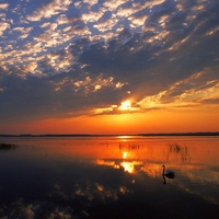 poleski national park poland