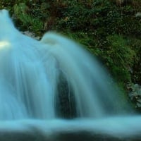 GREEN FOREST WATERFALLS