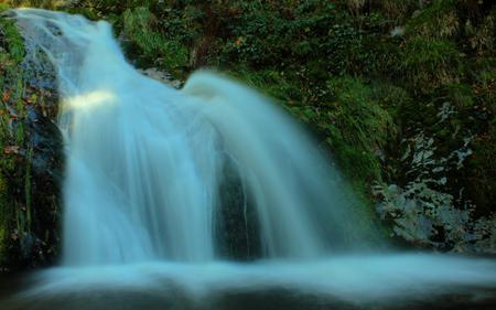 GREEN FOREST WATERFALLS - nature, green, waterfalls, forest