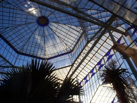 Botanic garden - glasshouse, trees, glass, green, flowers, australia