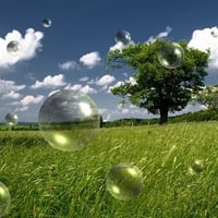 NATURE IN BUBBLES