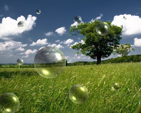 NATURE IN BUBBLES - nature, tree, field, bubbles