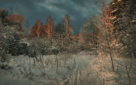 Winter - winter, nature