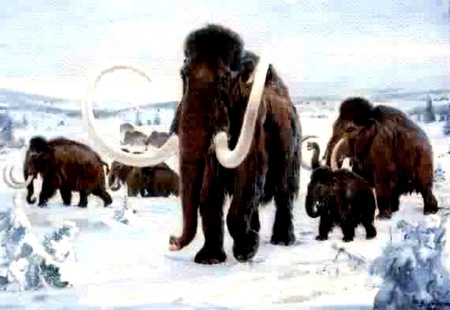 Wooly Mammoths - snow, ice, wooly mammoths, extinct