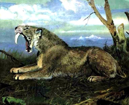 Saber-tooth - big cat, predator, extinct