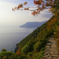 	The Path To Vernazza