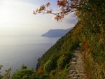 	The Path To Vernazza