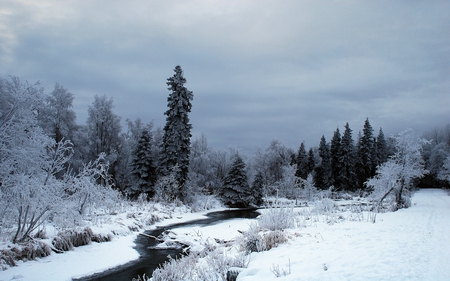 	Winter Time - snow, stream, winter, time