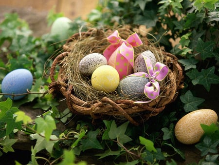  Decorated Eggs - greetings, easter, still life, nature, eggs, holidays, nest, leaves, green, holiday, egg, colors, happy