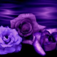 Background Purple BlueFlowers.jpg