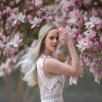 â€Magnolia in her full bloomâ€