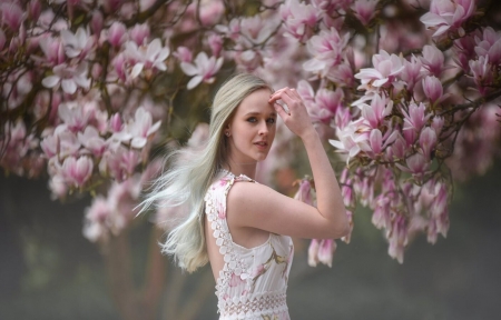❀Magnolia in her full bloom❀ - pink, Magnolia, Tree, petals, Female Blonde, Bloom, Flower, Spring
