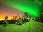 Northern Light