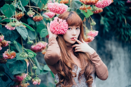 :) - woman, model, girl, hydrangea, asian, pink, flower