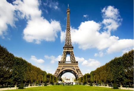 Eiffel Tower - France, Eiffel Tower, Tower, Paris, tree